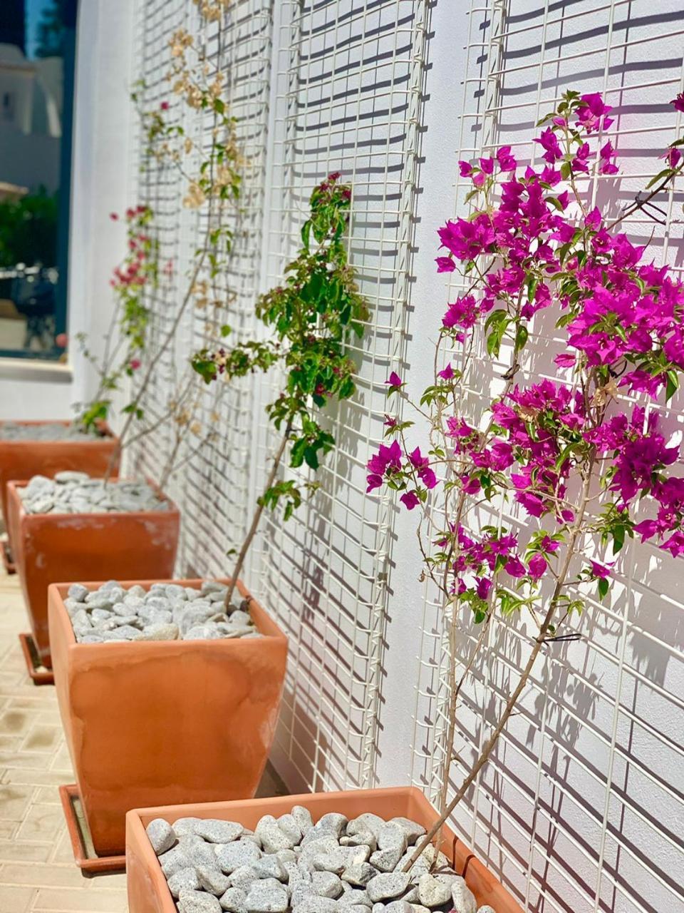 Casa Penina Hotel Alvor Ngoại thất bức ảnh
